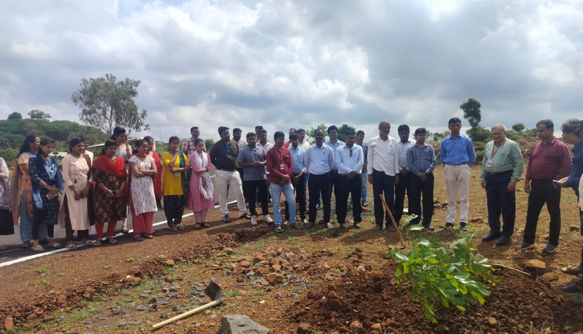 Tree Plantation on Envirnomental Day